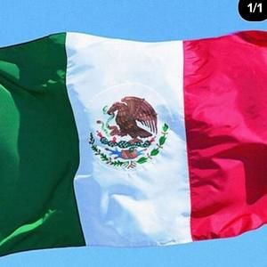 Meet your Posher, Oscar